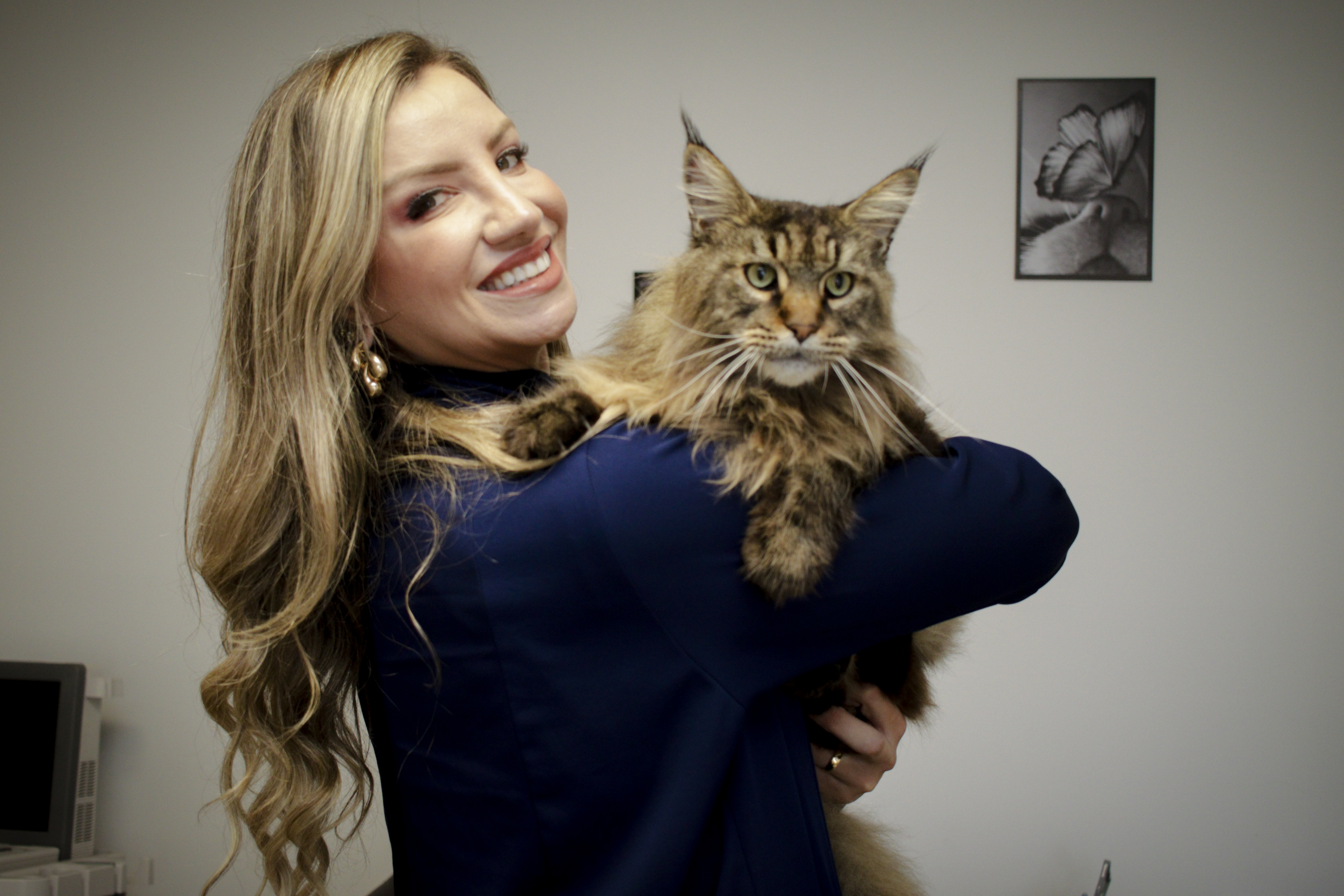 Ambiente cat friendly na clínica