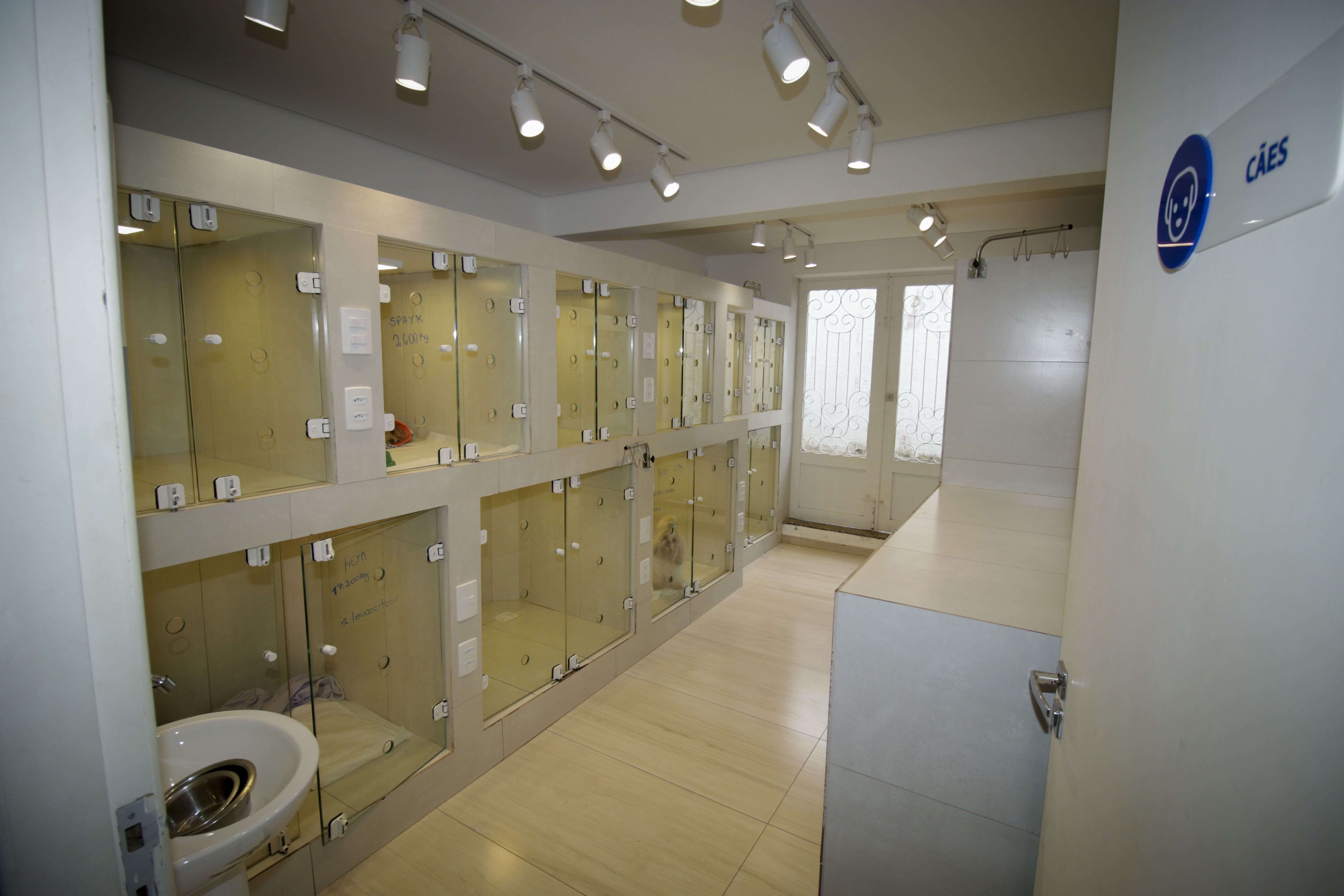 Área de internação veterinária da MaxiClin com leitos individuais para cães