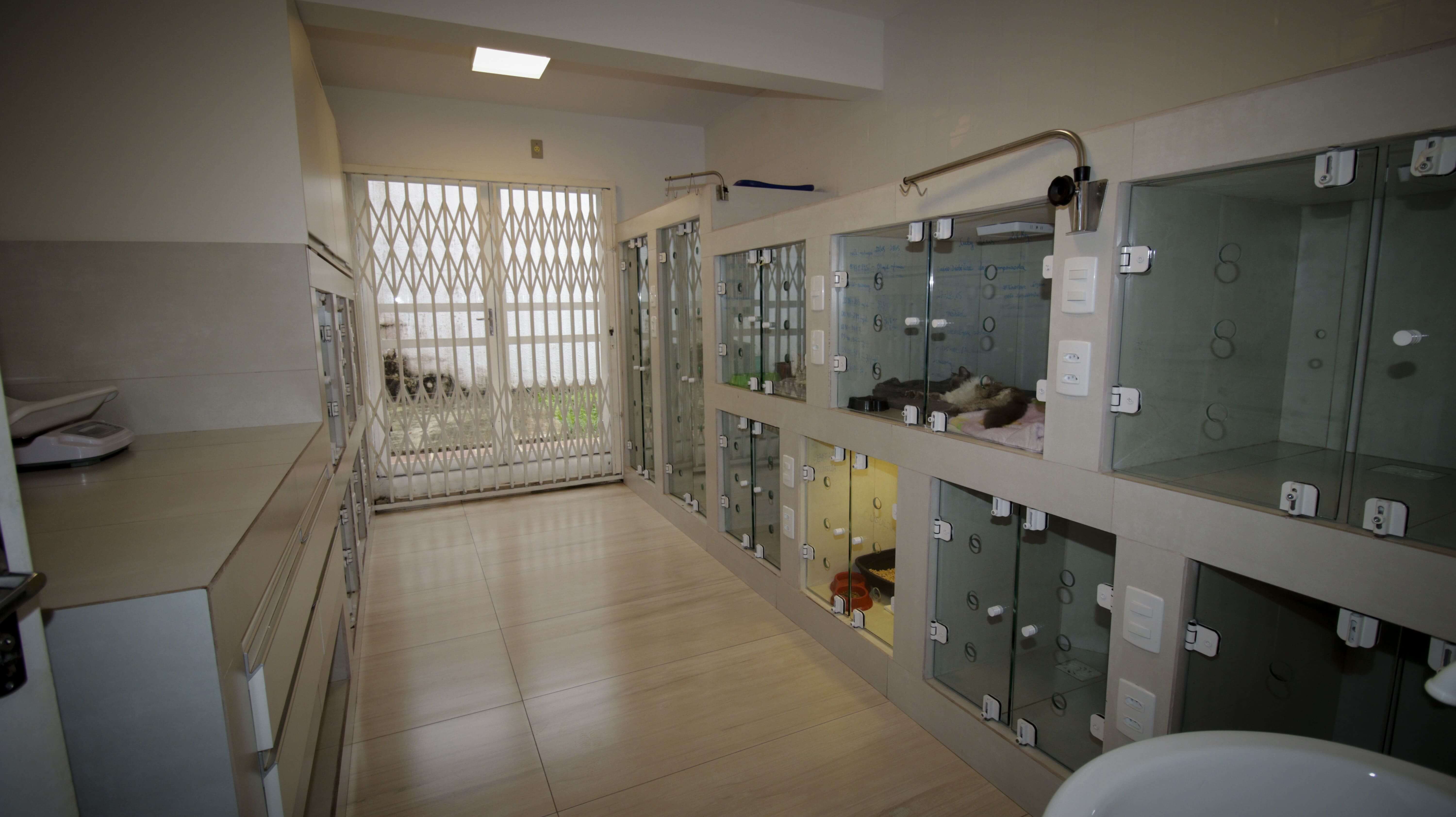 Área de internação veterinária da MaxiClin com leitos individuais para gatos